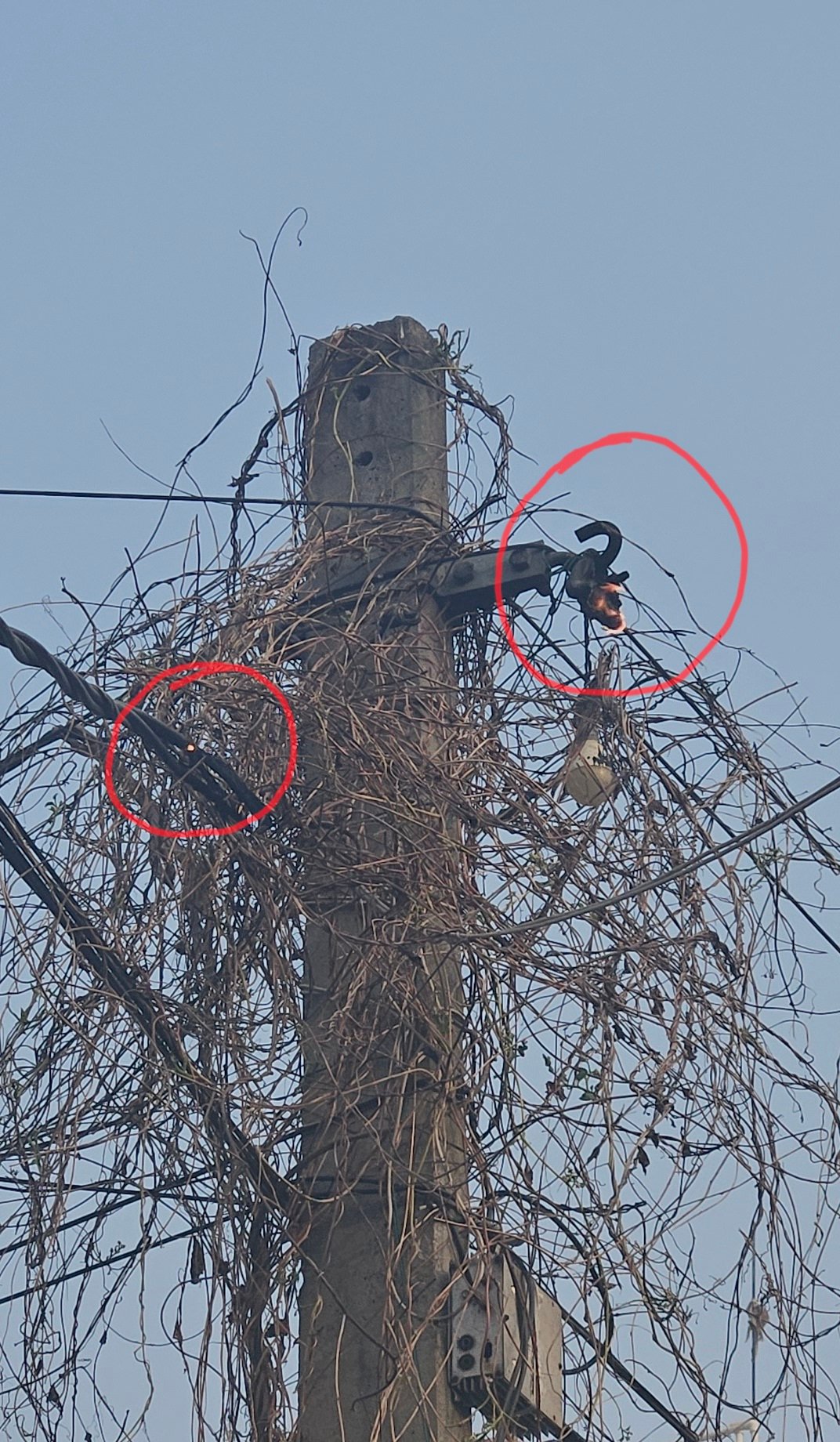 कहलगांव में बिजली के पोल में भीषण आग! अतुल बिहार नगर में मची अफरा-तफरी, बड़ी घटना टली